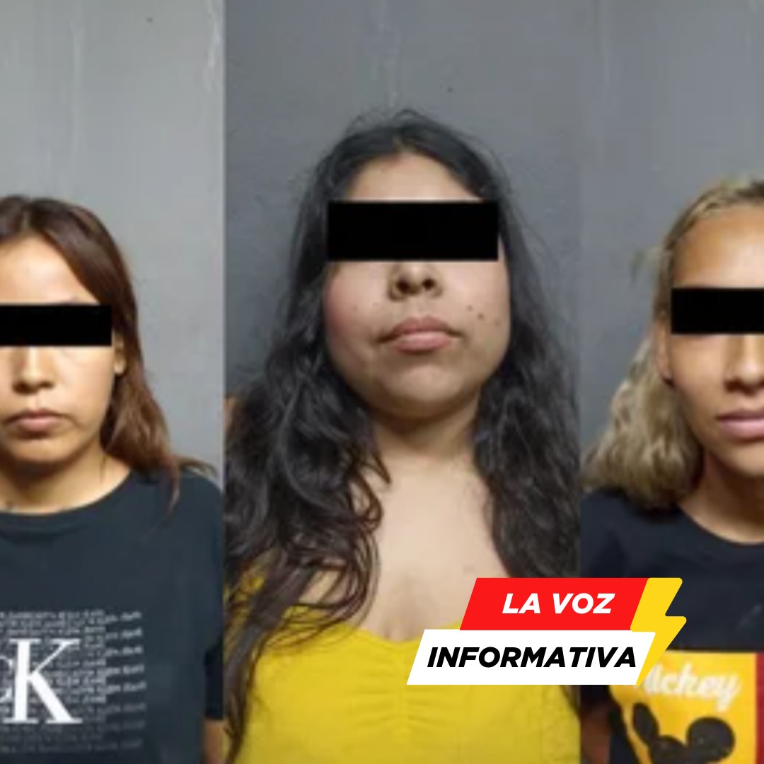 detención, delincuentes, Apodaca, saqueo, tienda, seguridad pública, crimen, policía, Nuevo León,
