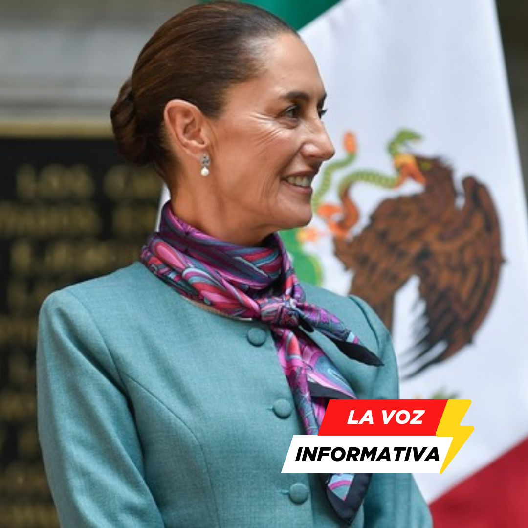 Claudia Sheinbaum, Morena, elecciones 2024, justicia social, sostenibilidad ambiental, desarrollo económico, transporte público,