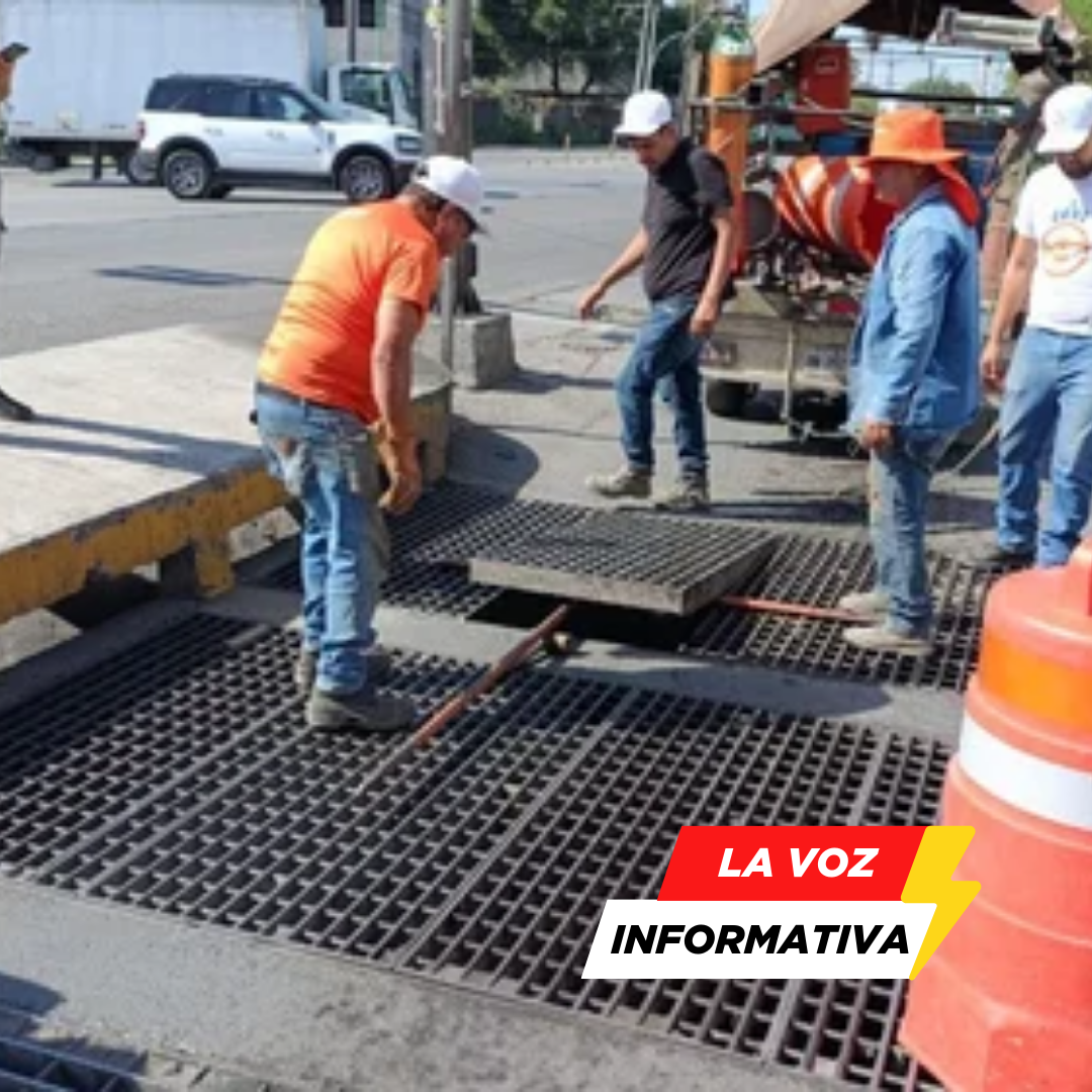 Protección Civil, Guadalupe, rescate de animales, gato atrapado, alcantarilla, seguridad animal,