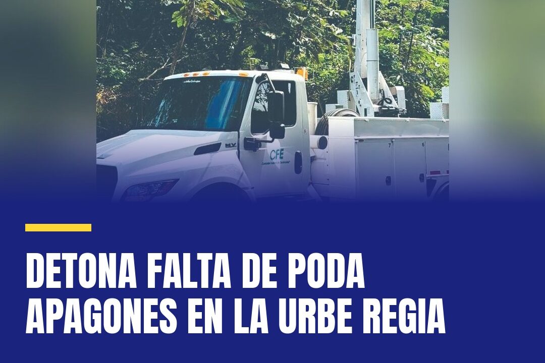 Detona falta de poda apagones en la urbe regia